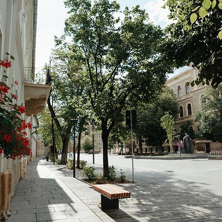 Contessa Apartment Cluj Napoca Εξωτερικό φωτογραφία