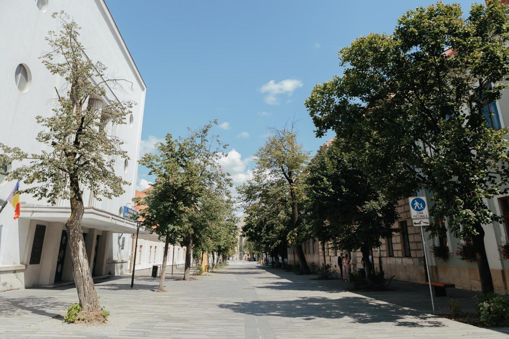 Contessa Apartment Cluj Napoca Εξωτερικό φωτογραφία