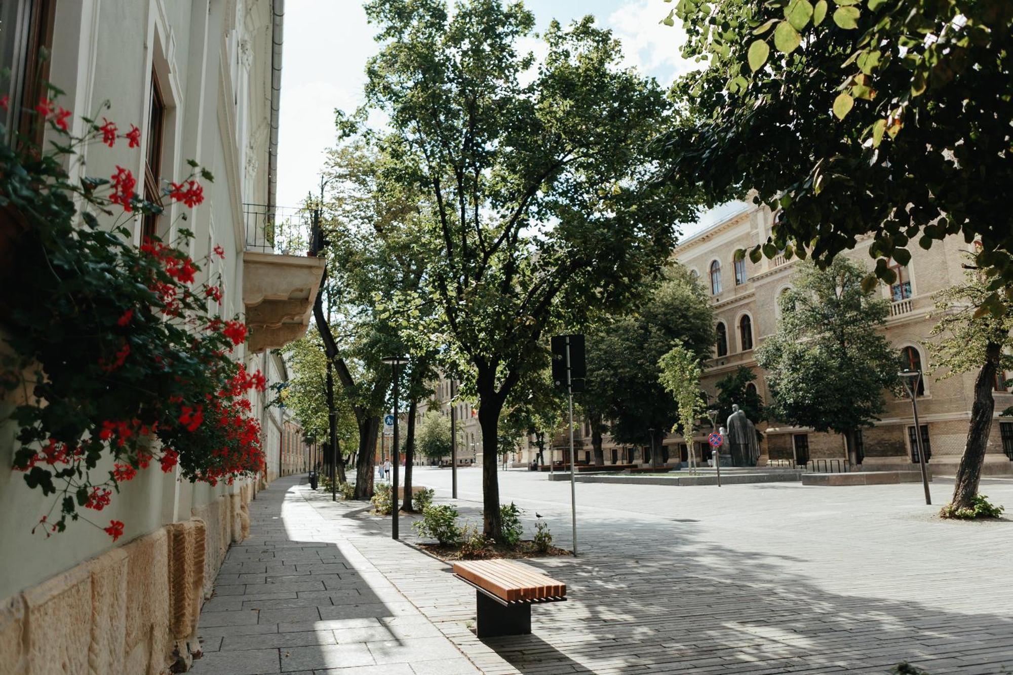 Contessa Apartment Cluj Napoca Εξωτερικό φωτογραφία