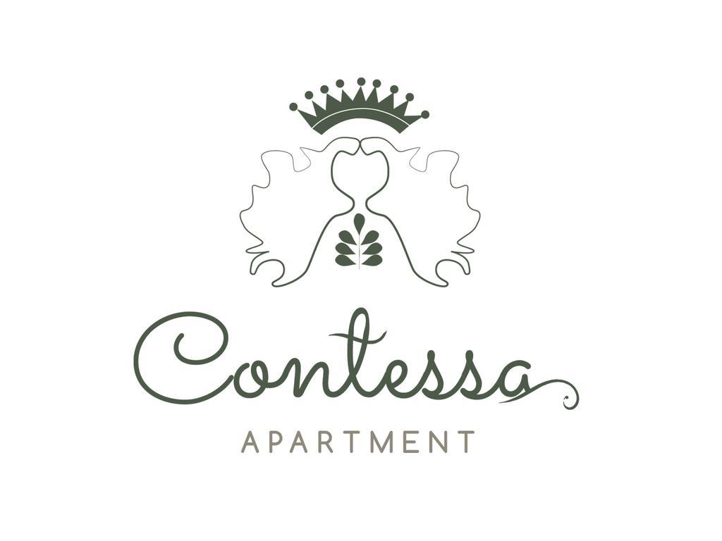 Contessa Apartment Cluj Napoca Εξωτερικό φωτογραφία