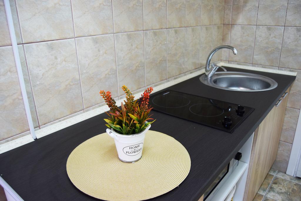 Contessa Apartment Cluj Napoca Εξωτερικό φωτογραφία
